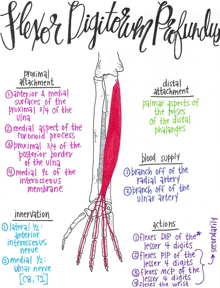 gratitude for aging body health — illustration 7 from Doug Jones' original Garden Island column