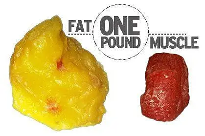 fat loss myths for seniors — illustration 3 from Doug Jones' original Garden Island column