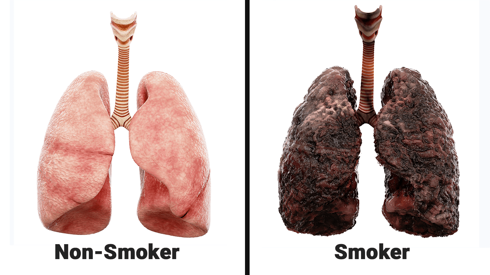 benefits of quitting smoking after 60 — illustration 5 from Doug Jones' original Garden Island column